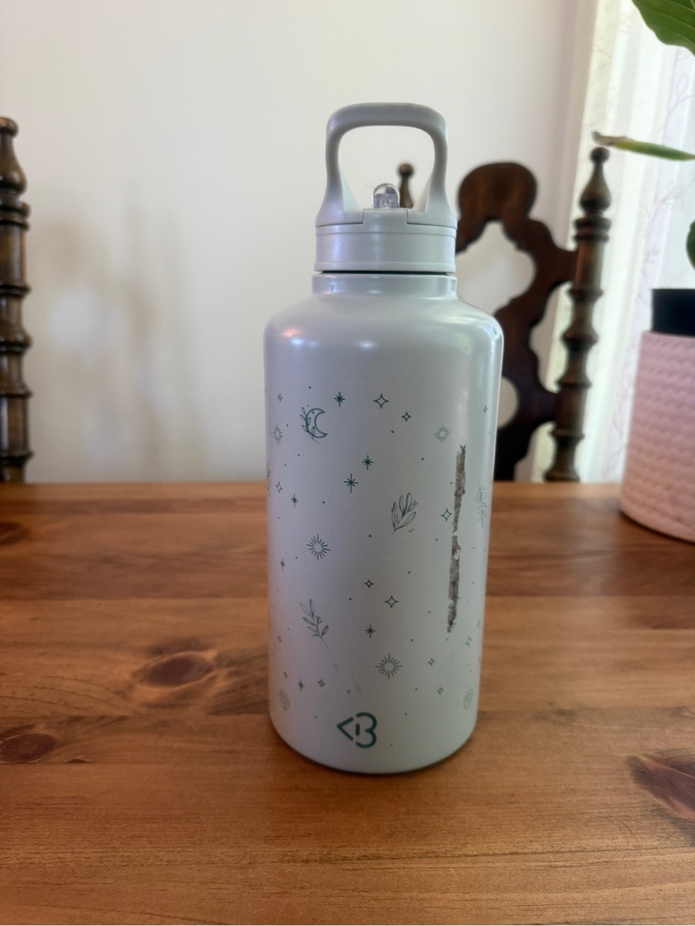 Insulated  blue Cream Water Bottle with Celestial Print Blogilages